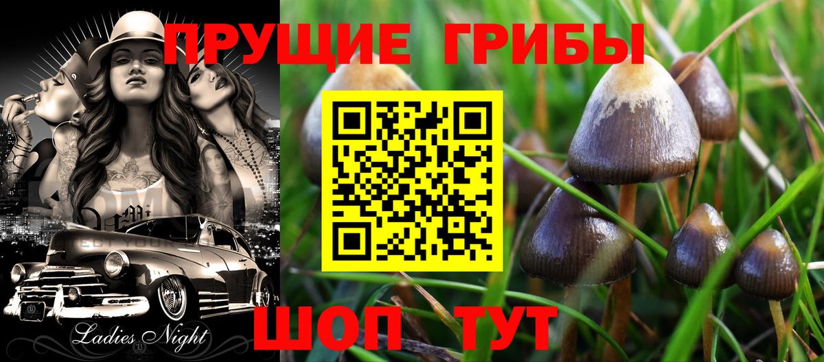 Галлюциногенные грибы Cubensis Новоалександровск