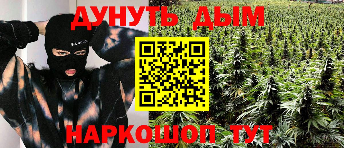 Марихуана план Новоалександровск